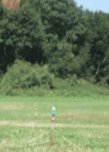 animated_water_rocket_575opt