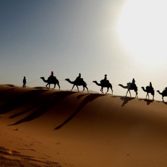 Camel_Caravan